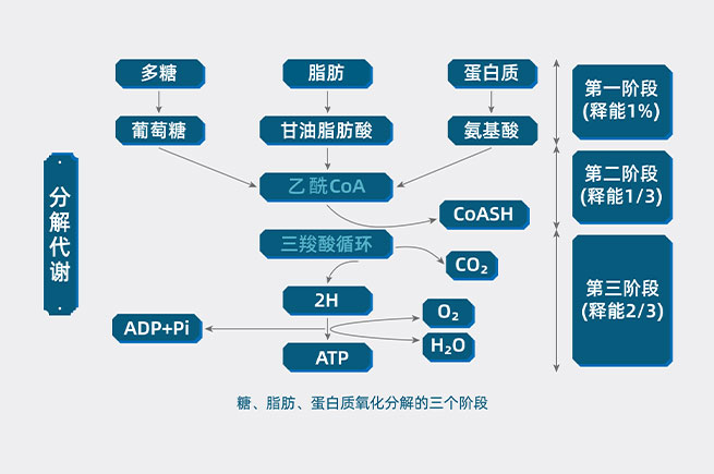&#24320;&#20113;&#40;&#20013;&#22269;&#41;&#75;&#97;&#105;&#121;&#117;&#110;